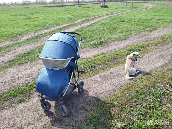 Прогулочная коляска бу oyster zero