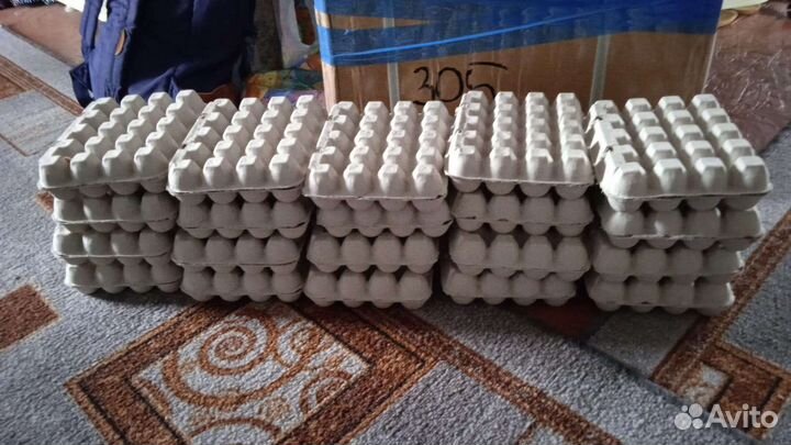 Инкубяйцо сельхозптицы