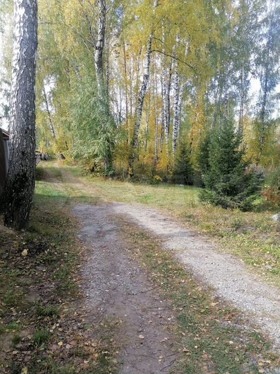 Участок 10 сот. (СНТ, ДНП)