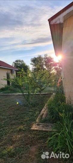 Рыбалка в Астрахани в Дельте Волги