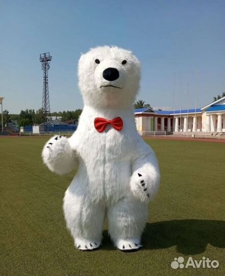 Белый мишка поздравление