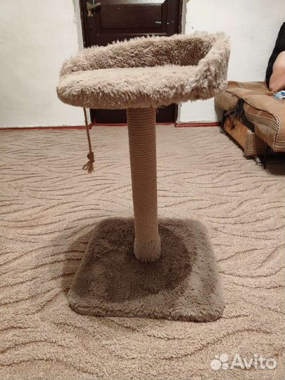 Когтеточка