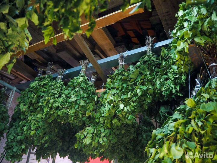 Банные веники