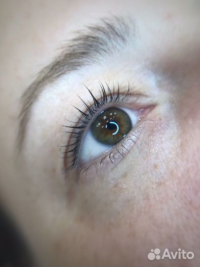 Бровист ламимейкер