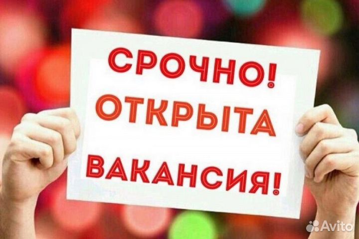 Директор,Администратор