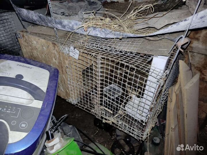 Клетка для кролика