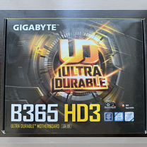 Материнская плата Gigabyte B365 HD3 (комплект)