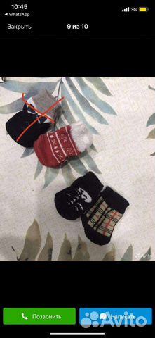 Комбинезон на маленькую собачку