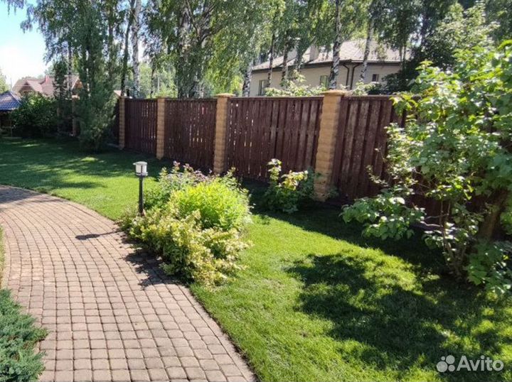 Полевой газон экономный от производителя