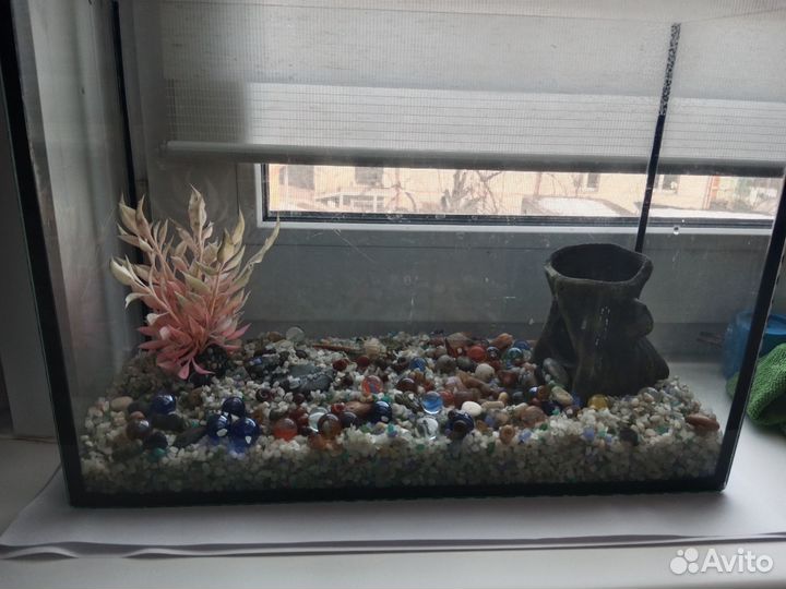 Аквариум с рыбками
