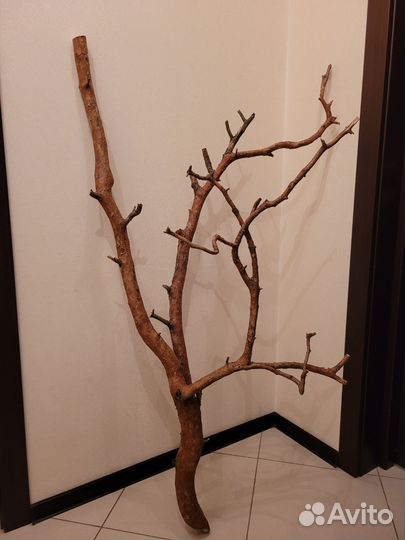 Коряги для интерьера и декора из натуральной сосны