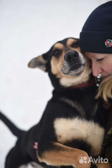 Красавица Мэй замерзает в приюте