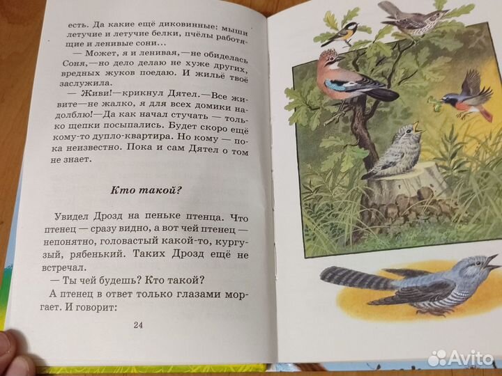 Лесные сказки