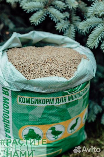 Комбикорм для бройлеров