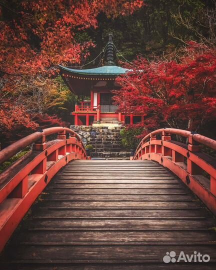 Туристическая виза в Японию