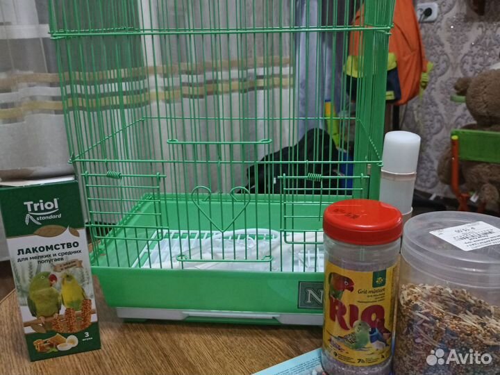 Клетка для попугаев