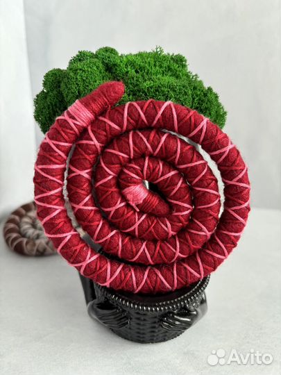 Луполокс спираль для дредов и кос