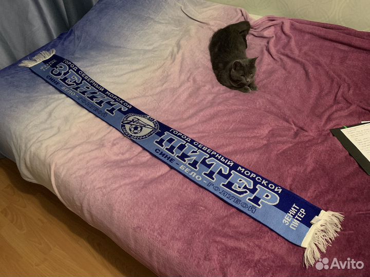 Шарф фк зенит питер