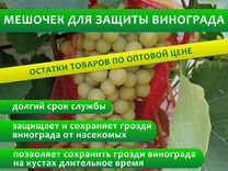 Мешочки для защиты винограда