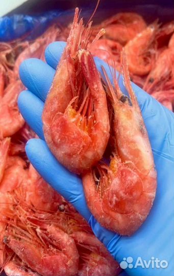 Креветка оптом