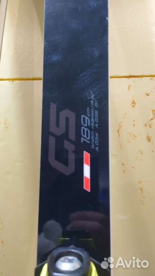 Горные лыжи Fischer RC4 Worldcup GS Masters Curv