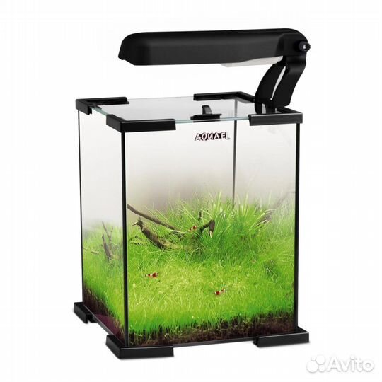 Аквариум для рыб