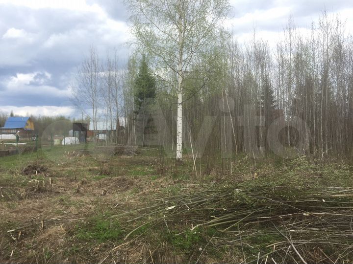 Участок 10 сот. (СНТ, ДНП)