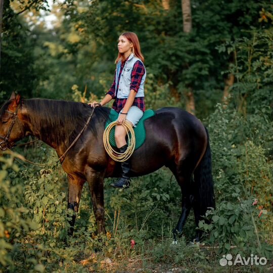 Занятия верховой ездой