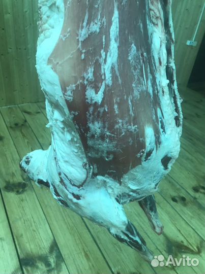 Мясо баранина свежая