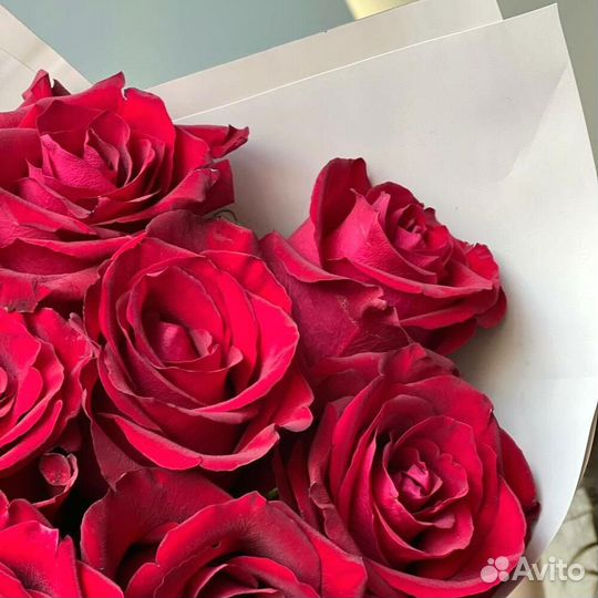 Красные розы Кения 9