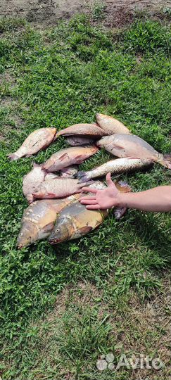 Рыбалка отдых на природе