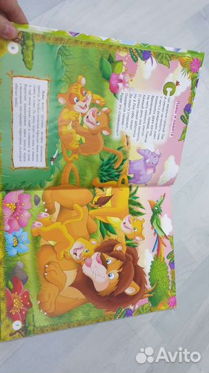 Необыкновенная книга (энциклопедия животных )