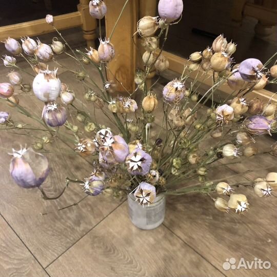 Сухоцветы в интерьере