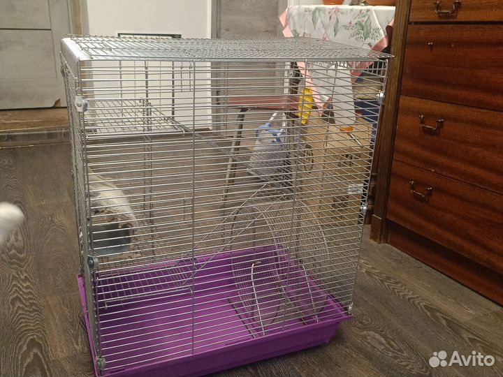 Клетка для грызунов