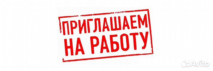 Кассир ежедневные выплаты