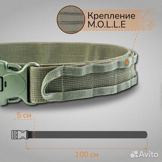 Ремень тактический на Molle 100 см (олива)