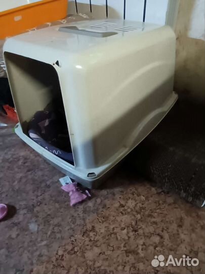 Кошачий туалет закрытый