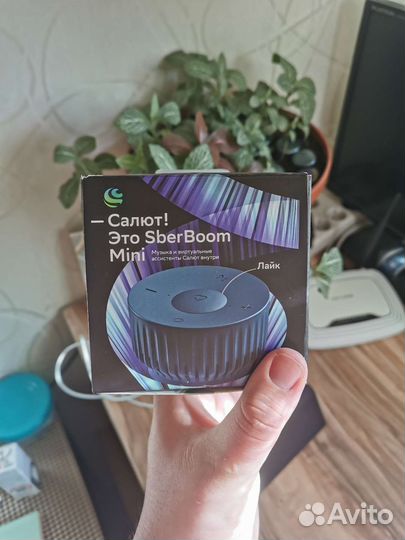 Sberboom mini