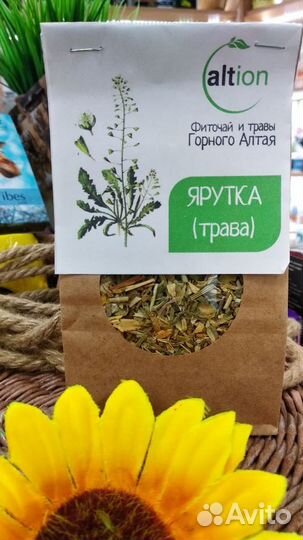 Ярутка трава