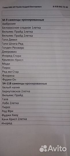 Саженцы яблони м 9 и мм 106 зимних и летних сортов