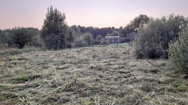 Участок 11 сот. (СНТ, ДНП)