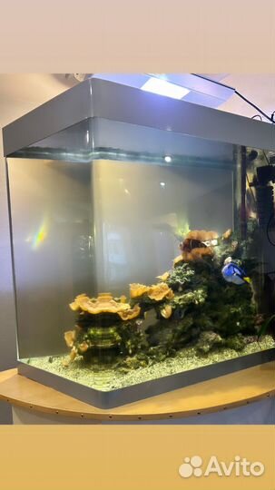 Морской аквариум 450 л