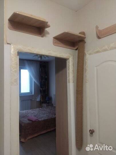 Полки для кошек