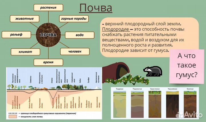 Репетитор по географии