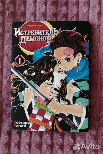 Книга Истребитель демонов