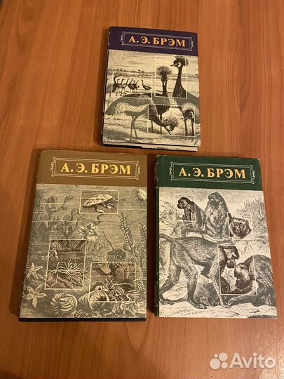 А. Э. Брэм 