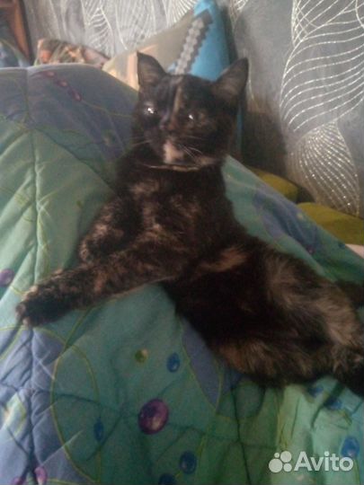 Девочка в добрые руки