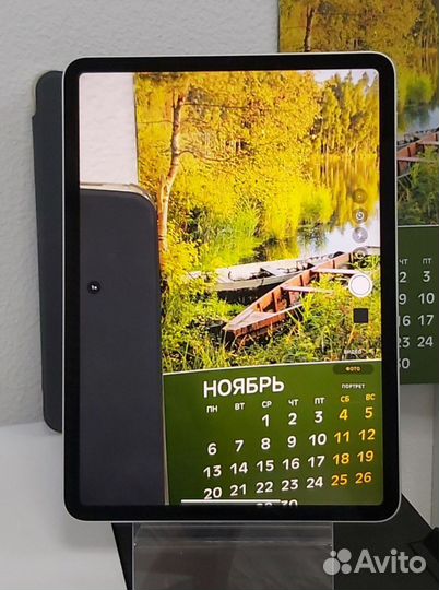 Планшет Apple iPad Pro 11 2022, 256 гб (141282)