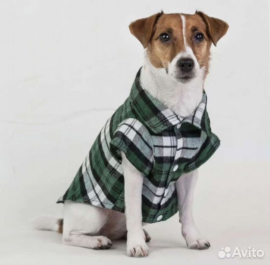 Новая рубашка для собаки, р.S