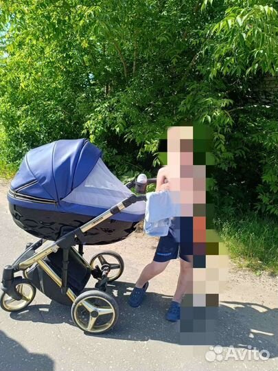 Коляска адамекс шанталь 2 в 1